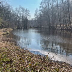 4BC36B11-25BD-4053-A439-CC08ED6F5198-22244-000004F9AD27B39B